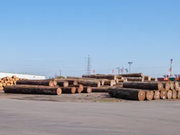 Timber yard